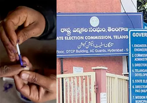 panchayat elections after may