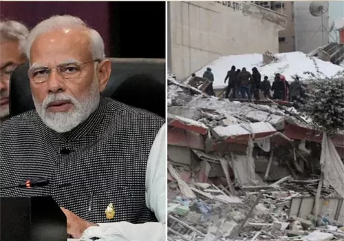 poisonous snake turkey