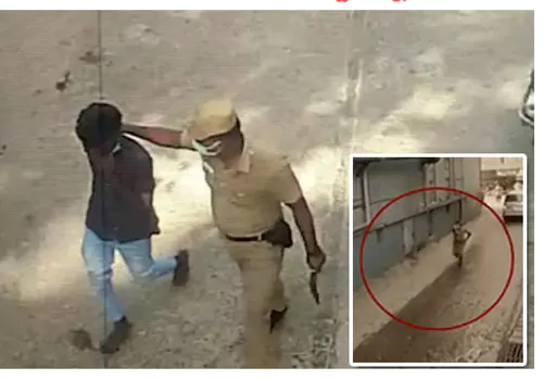 SP chased three thiefs