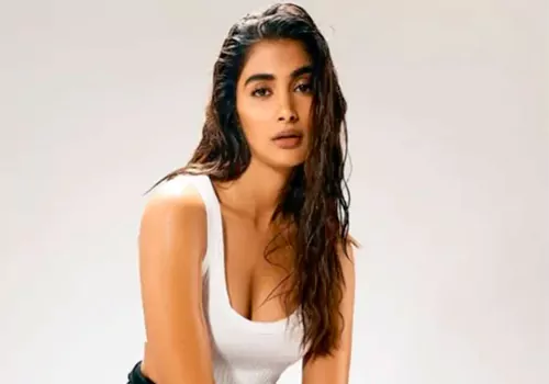 Pooja hegde in dhanush movie
