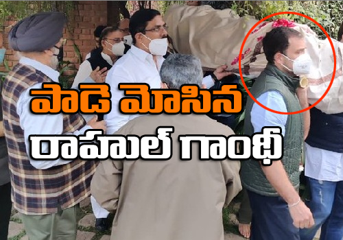 leader rahul gandhi gives shoulder to the mortal remains of party leader captain satish sharma