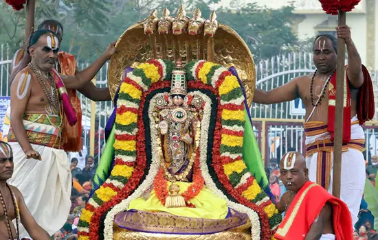 rathasaptami vedukalu in tirumala