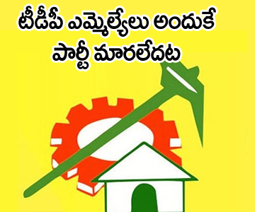 reason behind yeluri sambasiva rao not quitting tdp