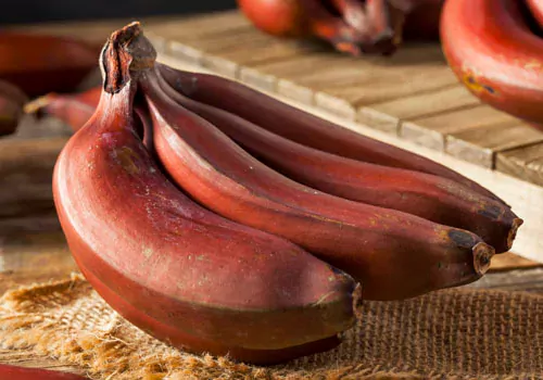 Red banana benefits