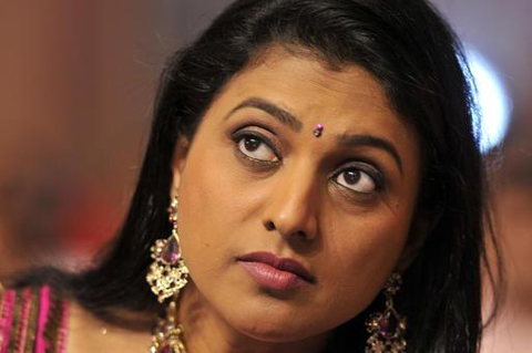 nandyal by election result