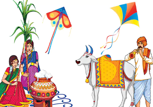 sankranti special