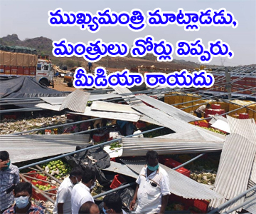 Several hurt in shed collapse at Koheda market