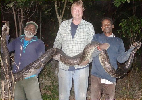 Tamil Snake Catchers
