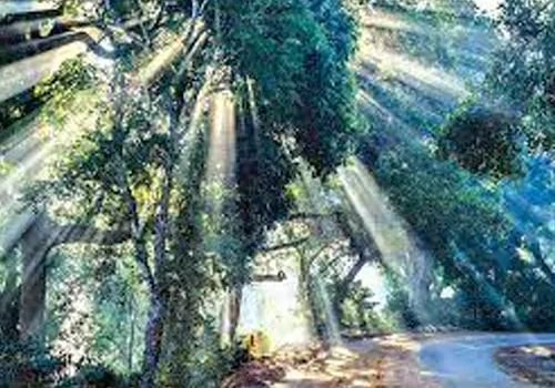 lambasingi temparatue falls