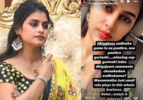 బిగ్ బాస్ బిజినెస్ మొత్తంలో మనం చిన్న పాత్రలం...అంతే
