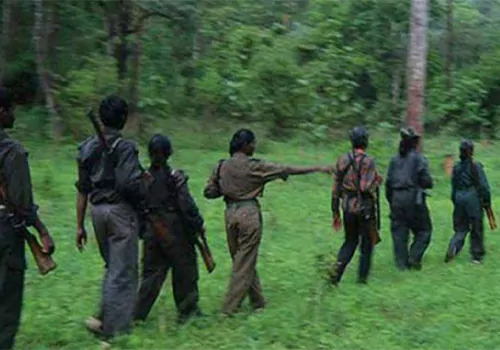 twelve maoists surrenderd