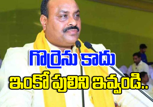 ap tdp chief atchannaidu slams ysrcp mps over their failures