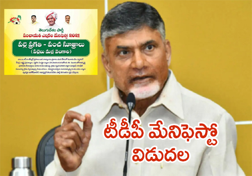 tdp manifesto for panchayat elections