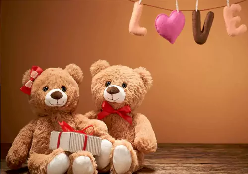 Happy teddy day special