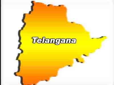 telangana survey