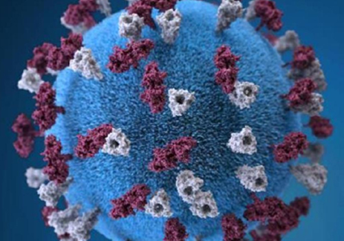 national congress party insult to bjp