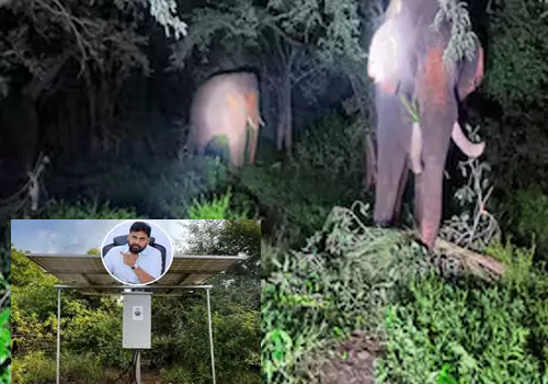 stop the elephant menace with technology