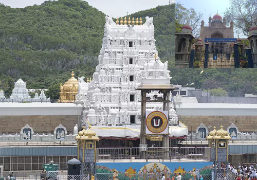 petition in telangana high court claiming tirumala srivari prasada nivedana