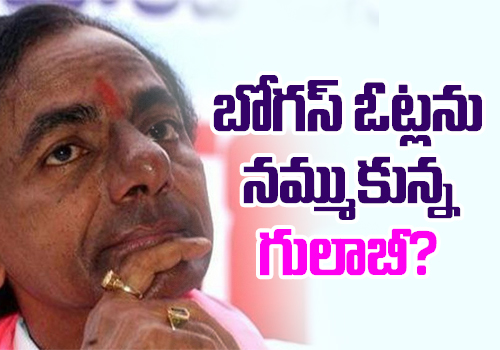 trs candidates facing troubles in mlc election campaign bogus votes