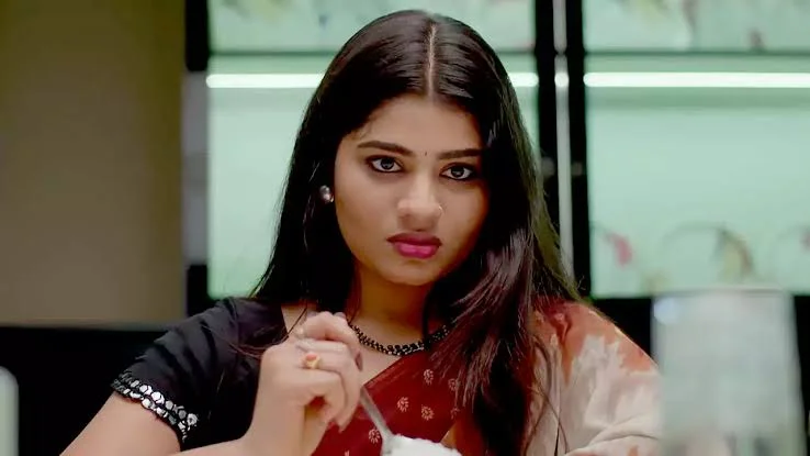 Jayam serial: జయకు స్పాన్సర్ షిప్, ప్రీతికి బాబు.. వీరు కొత్త కుట్ర!