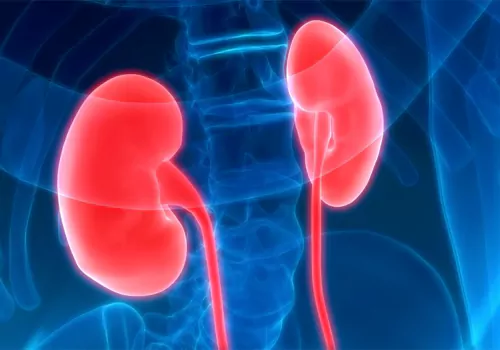 virus affect your kidneys