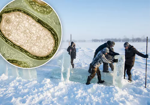 shocking truths of zombie virus