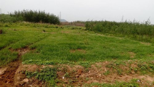 visakha farmers not interested to give lands to ap govt