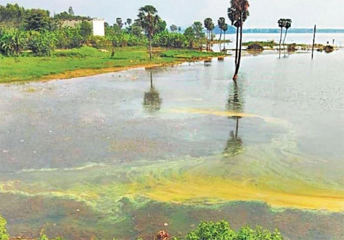water pollution in Visakhapatnam