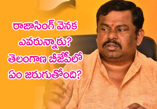 who is behind raja singh