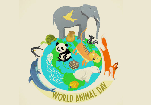 world animal day