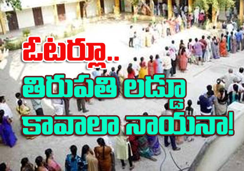 tdp leader achennaidu fire on ycp leaders tirupathi laddu distubutions