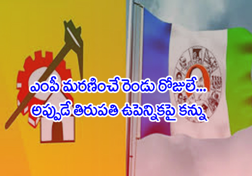 ycp and tdp focus on tirupati bypoll
