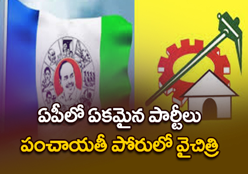 ycp tdp local leaders deals in panchayth election