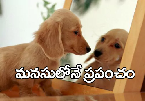 Your Motivational Stories 