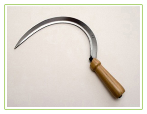 student attack on engineering college girl student poison