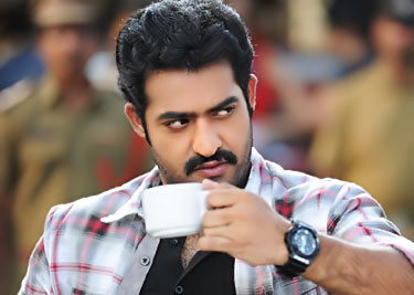 jr ntr fans tear tdp pawan kalyan posters