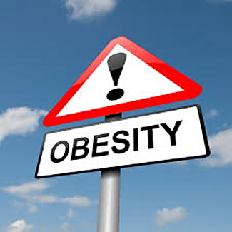  Traffic Noise Obesity Risks