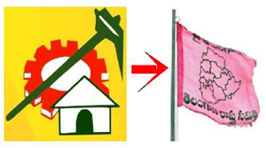 tdp mla jump trs government 