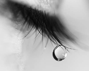 four farmers death in telangana state