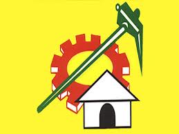 Avanigadda TDP assembly ticket