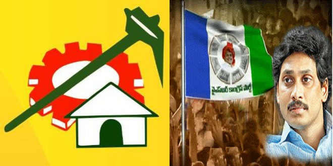 tdp