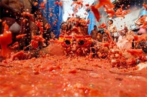 tomatoes crushed in Vadodara