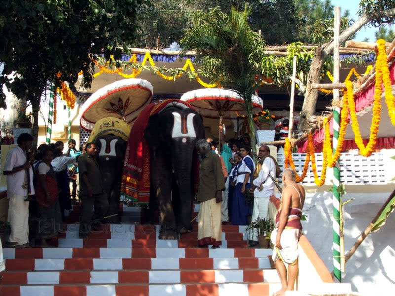 paaruvetauthsavam64.jpg