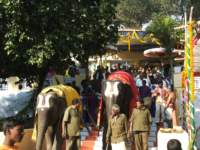 paaruvetauthsavam65_small.jpg