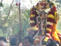 paaruvetauthsavam80_small.jpg