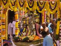 tirumalatheppothsavam41_small.jpg