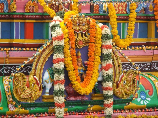 tirumalatheppothsavam50.jpg
