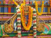 tirumalatheppothsavam50_small.jpg