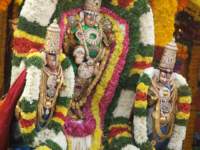 tirumalatheppothsavam62_small.jpg