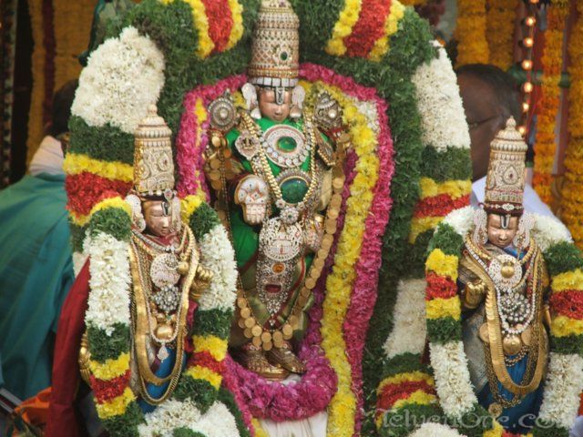 tirumalatheppothsavam63.jpg
